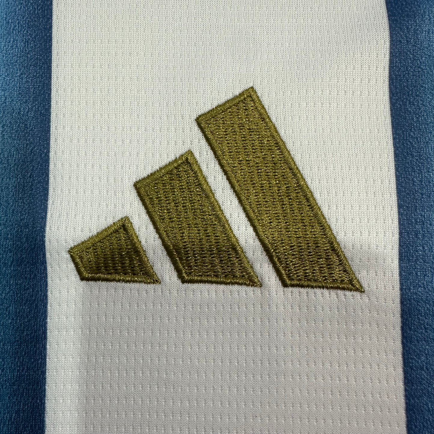 Argentina 2022 World Champions Home Jersey